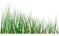 Green grass meadow horizontal border. Vector stock illustration.